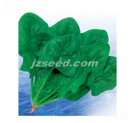 �ʼ����S-���˷N��-�F(xi��n)���N�I(y��)