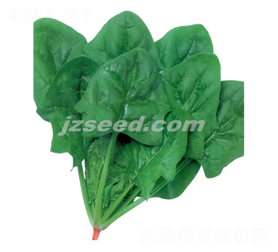 ���漱���h-���˷N��-�F(xi��n)���N�I(y��)