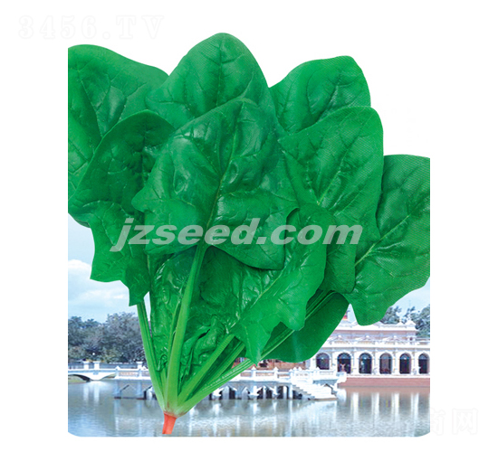 ���-���˷N��-�F���N�I(y��)