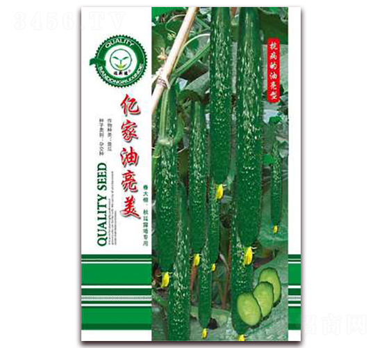 億家油亮美-黃瓜種子-億家豐