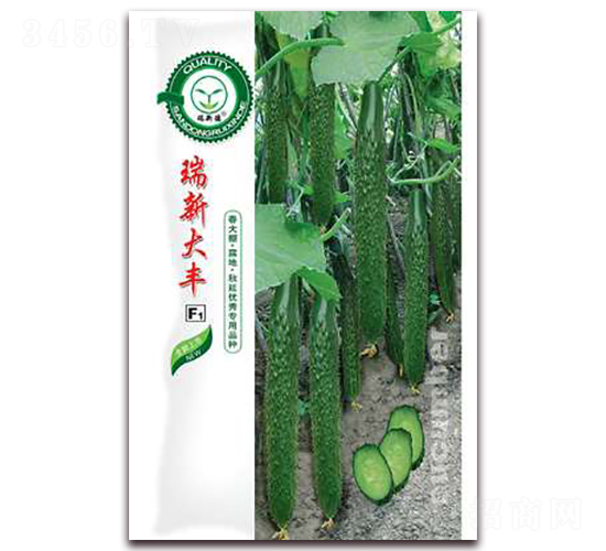 瑞新大豐-黃瓜種子-億家豐