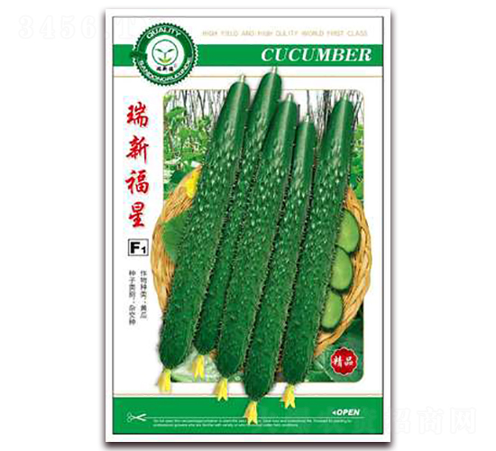瑞新福星-黃瓜種子-億家豐
