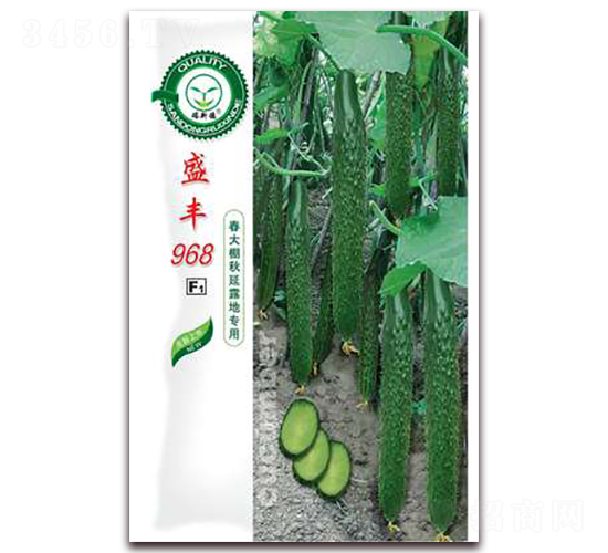 盛豐968-黃瓜種子-億家豐