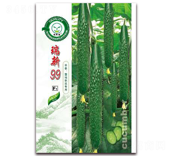 瑞新99-黃瓜種子-億家豐