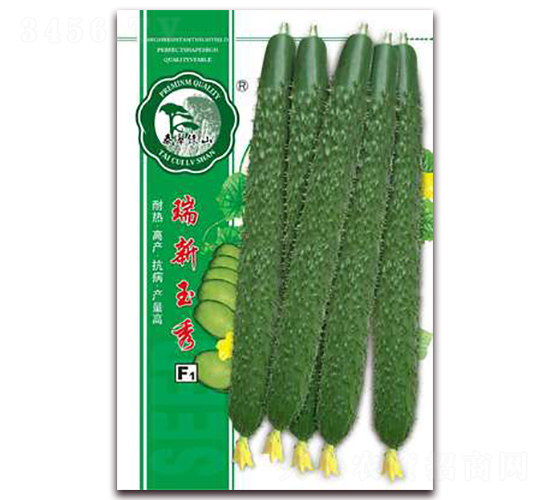 瑞新玉秀-黃瓜種子-億家豐