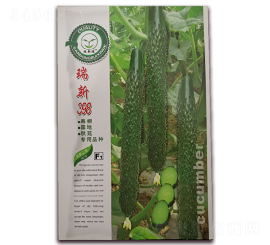瑞新398-黃瓜種子-億家豐