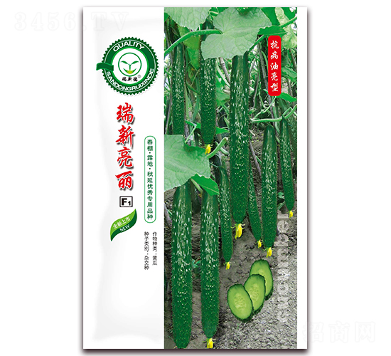 瑞新亮麗-黃瓜種子-億家豐