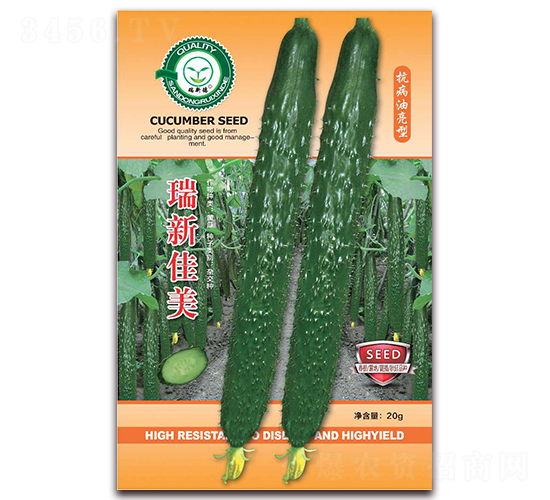 瑞新佳美-黃瓜種子-億家豐