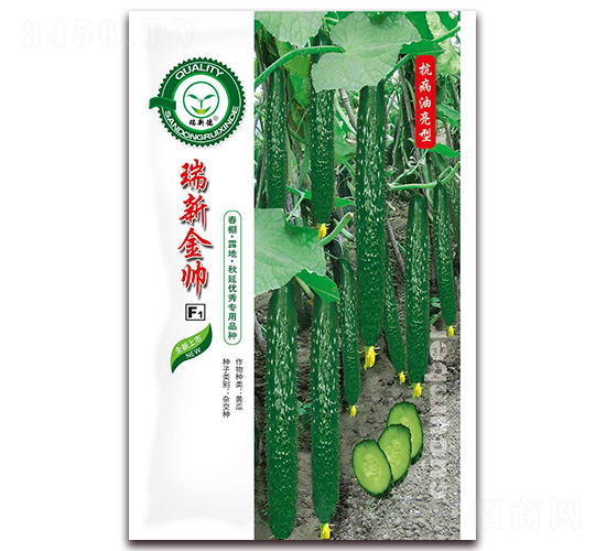 瑞新金帥-黃瓜種子-億家豐