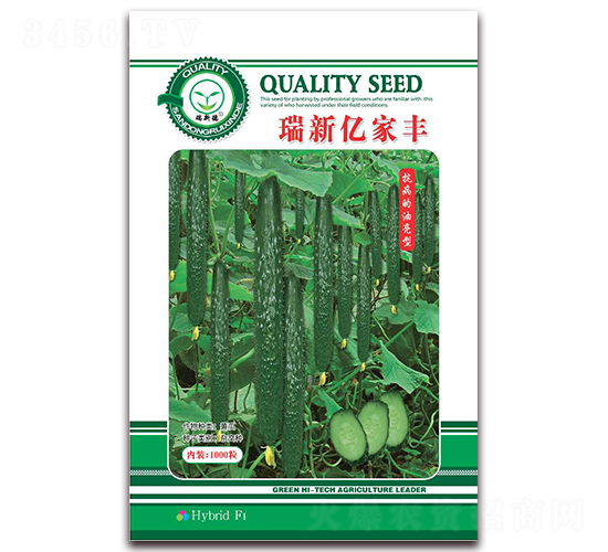 瑞新億家豐-黃瓜種子-億家豐