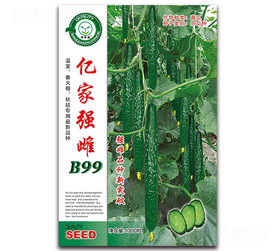 億家強(qiáng)雌B99-黃瓜種子-億家豐