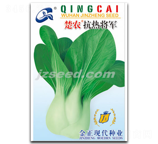 楚農(nóng)抗熱將軍-小白菜種子-現(xiàn)代種業(yè)