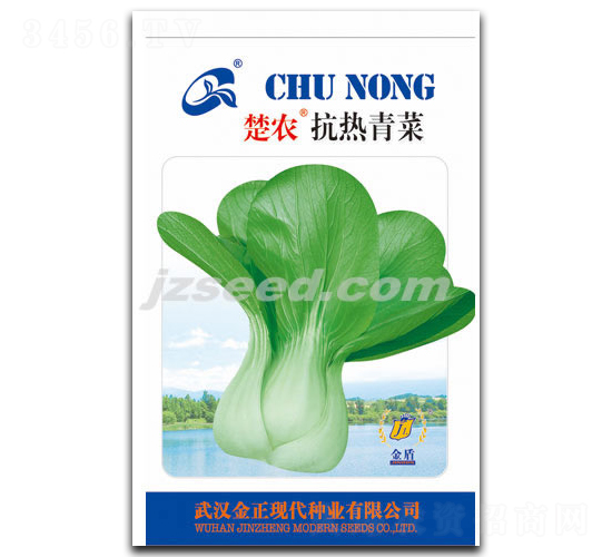 楚農(nóng)抗熱青菜-小白菜種子-現(xiàn)代種業(yè)