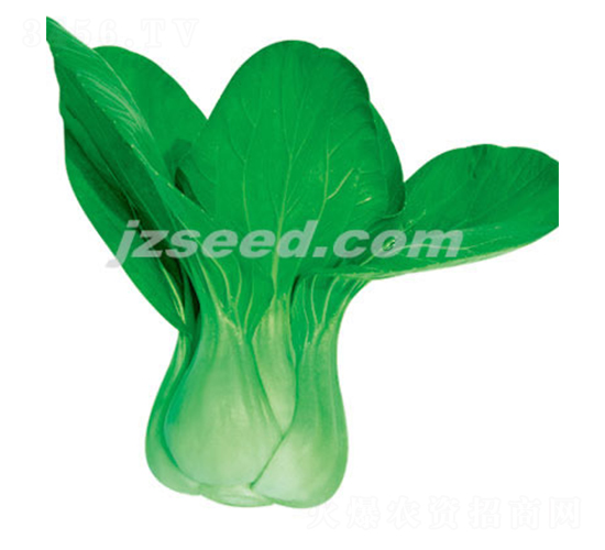 ����һ̖(h��o)-С�ײ˷N��-�F(xi��n)���N�I(y��)