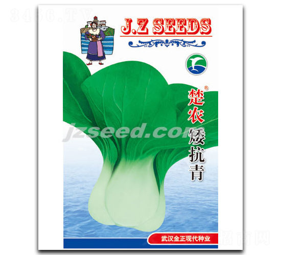 ���r(n��ng)������-С�ײ˷N��-�F(xi��n)���N�I(y��)