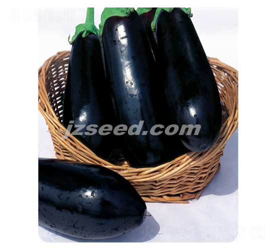 �f������-���ӷN��-�F(xi��n)���N�I(y��)