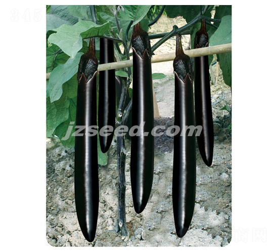 �f������-���ӷN��-�F(xi��n)���N�I(y��)