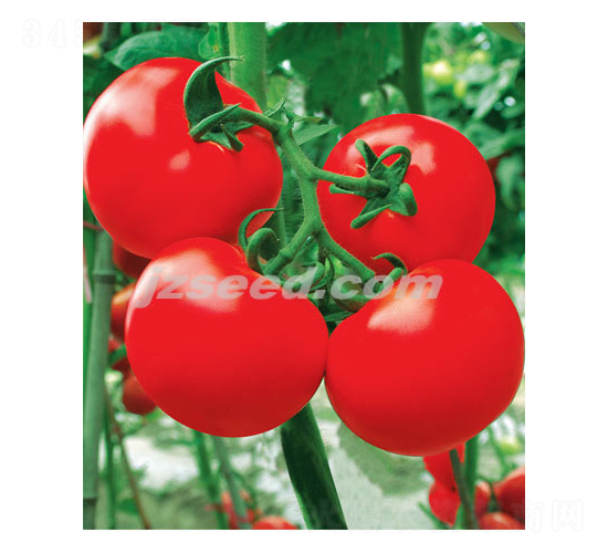 �Ă�1026-���ѷN��-�F(xi��n)���N�I(y��)