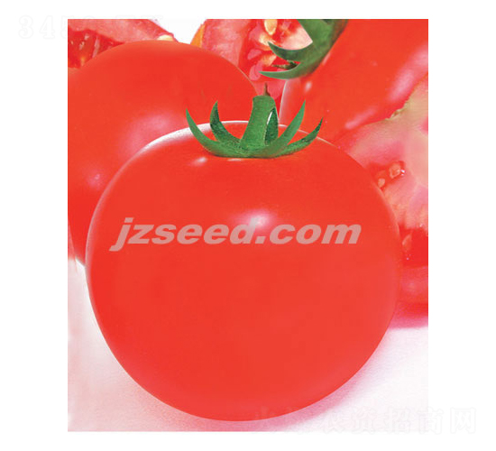 �ă�(y��u)��-���ѷN��-�F(xi��n)���N�I(y��)