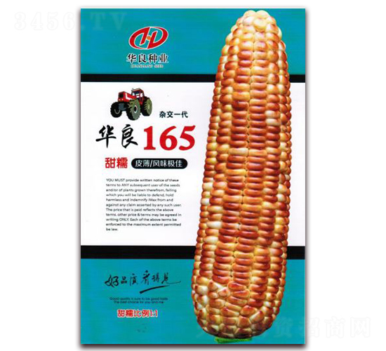 華良165-糯玉米種子-華良種業(yè)
