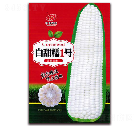 白甜糯1號-糯玉米種子-華良種業(yè)