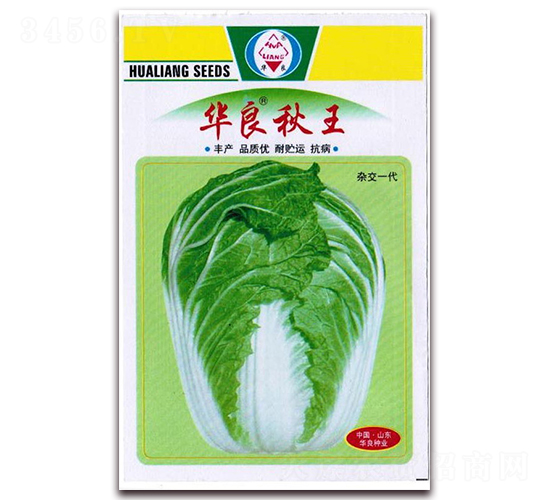 �A������-��ײ˷N��-�A���N�I(y��)