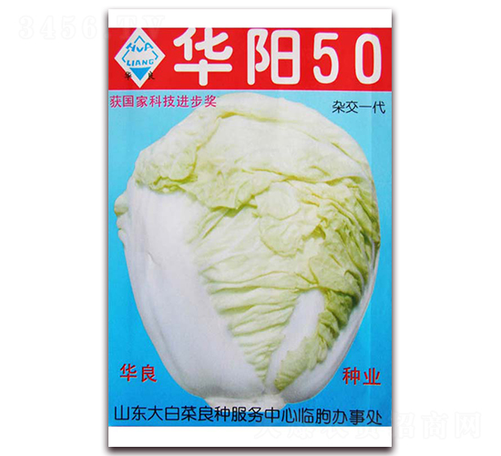 �A�50-��ײ˷N��-�A���N�I(y��)