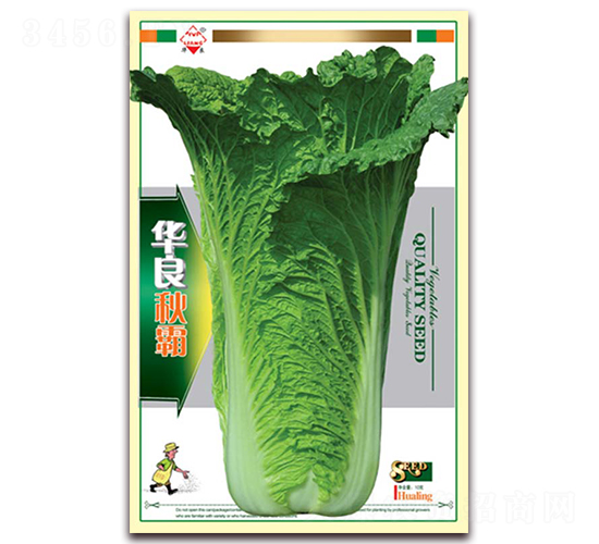 �A�����-��ײ˷N��-�A���N�I(y��)