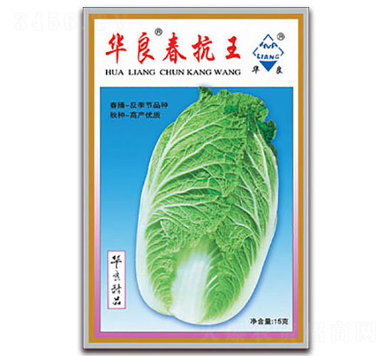 華良春抗王-大白菜種子-華良種業(yè)