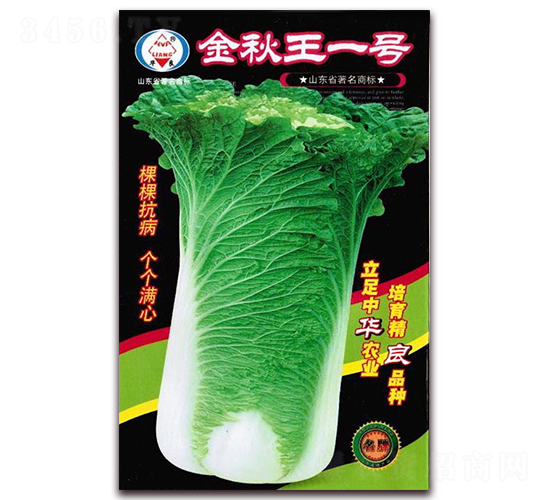 ������һ̖-��ײ˷N��-�A���N�I(y��)