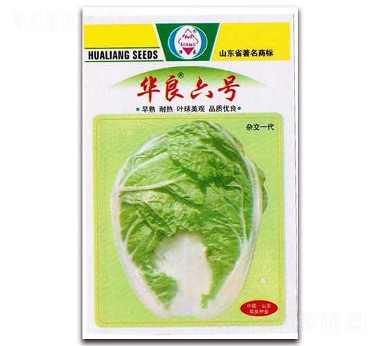 �A����̖(h��o)-��ײ˷N��-�A���N�I(y��)