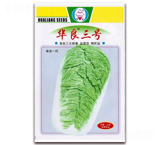 �A����̖-��ײ˷N��-�A���N�I(y��)