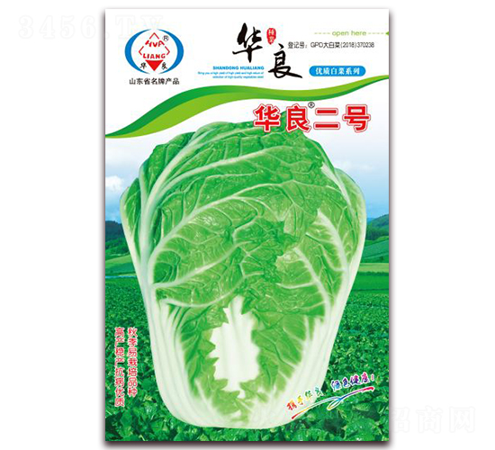 �A����̖-��ײ˷N��-�A���N�I(y��)