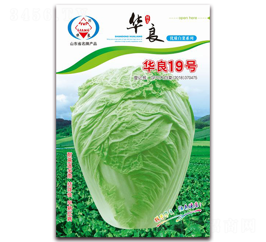 �A��19̖(h��o)-��ײ˷N��-�A���N�I(y��)