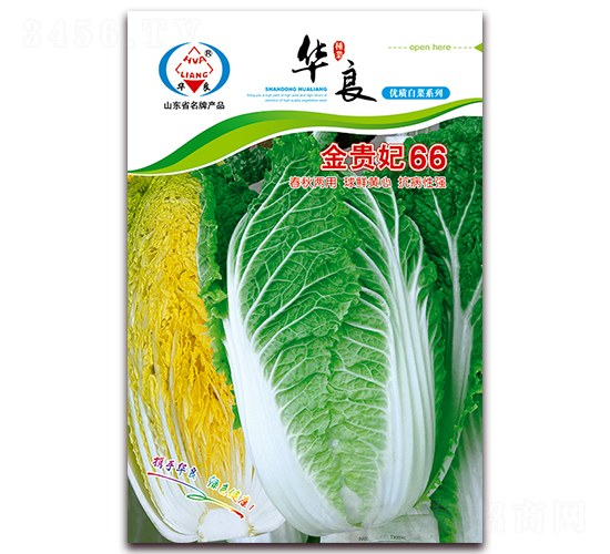 ���F��66-��ײ˷N��-�A���N�I(y��)