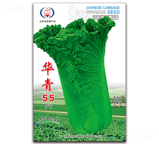 �A��55-��ײ˷N��-�A���N�I(y��)