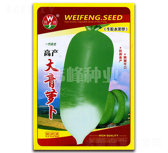 高產(chǎn)大青蘿卜-蘿卜種子-偉峰種業(yè)