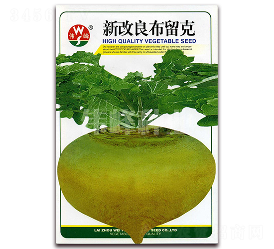 新改良布留克-蘿卜種子-偉峰種業(yè)