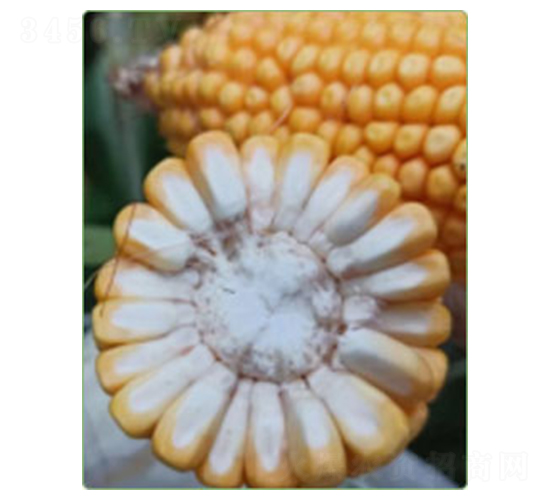 �A��812-���׷N��-�A���N�I(y��)