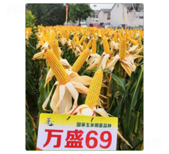 �f(w��n)ʢ69-���׷N��-�A���N�I(y��)