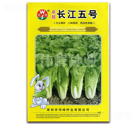 ׿Խ�L����̖-�ײ˷N��-����N�I(y��)