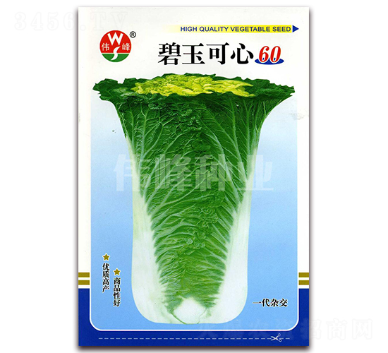 �������60-�ײ˷N��-����N�I(y��)