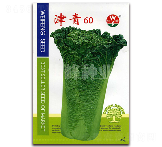 ����60-�ײ˷N��-����N�I(y��)