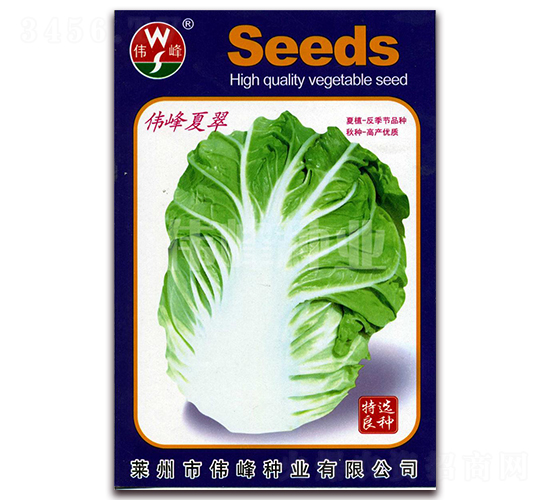 �����Ĵ�-�ײ˷N��-����N�I(y��)