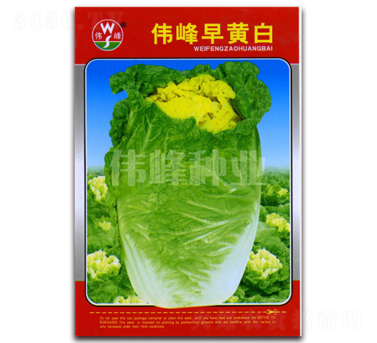 �������S��-�ײ˷N��-����N�I(y��)