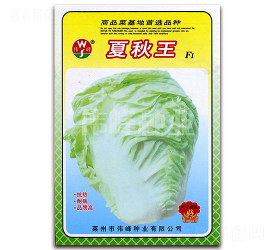 ������F1-�ײ˷N��-����N�I(y��)