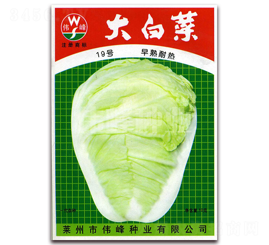 ��ײ�19̖-�ײ˷N��-����N�I(y��)