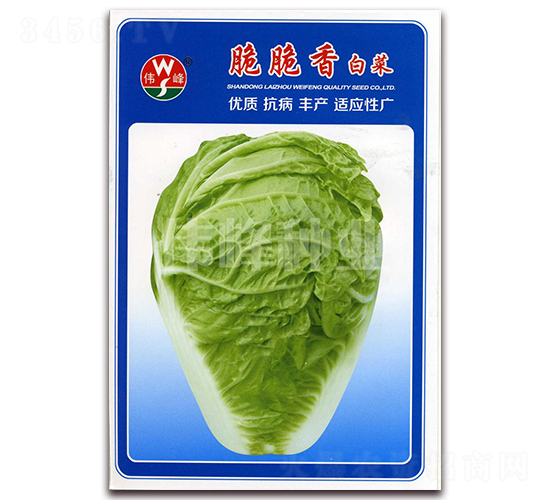 �����ײ�-�ײ˷N��-����N�I(y��)