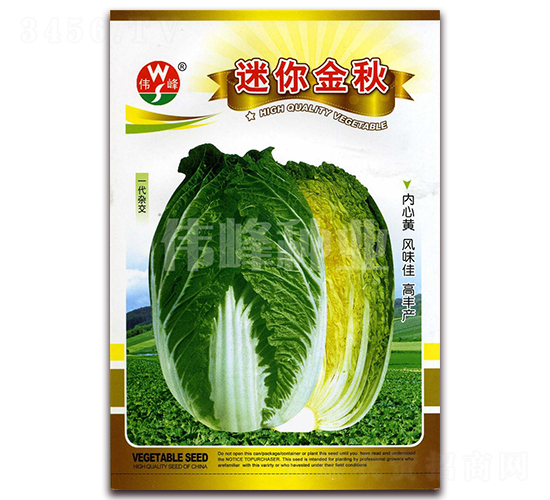 �������-�ײ˷N��-����N�I(y��)