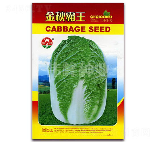 �������-�ײ˷N��-����N�I(y��)